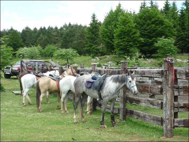  Equestrian tourism 